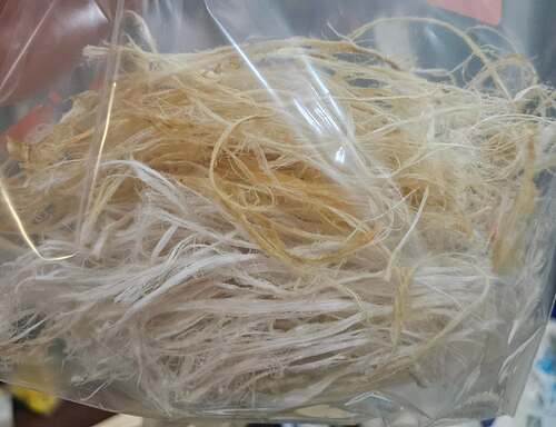 pulled sinew